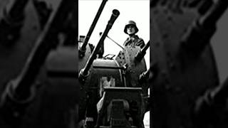 2 cm Flakvierling 38 flak aagun ww2 german [upl. by Bethezel913]