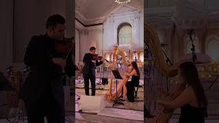 The Swan SaintSaens  Enchanted Strings  Violin amp Harp Duo in Los Angeles classical wedding [upl. by Bringhurst]