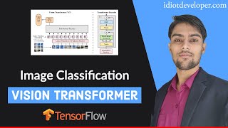 Image Classification using Vision Transformer ViT in TensorFlow [upl. by Schlessel99]