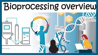 Bioprocessing overview Upstream and downstream process [upl. by Ares]