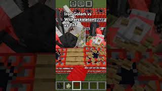 Witherskeletons vs Irongolems vs TnT minecraft tnt foryou gaming games [upl. by Keelby]