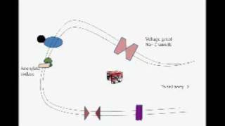 Process of Olfaction [upl. by Niloc]