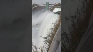 Mother 2 children dead in Niagara Falls shorts shortsvideo [upl. by Ardnajela]