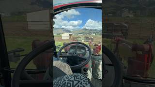 Wanna be my tractor buddy countrygirl farmergirl tractorvideo [upl. by Woodcock]