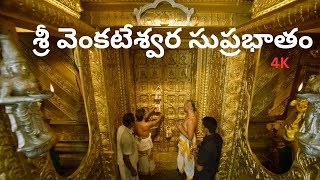 Suprabhatam  Venkateswara Swamy  సుప్రభాతం  Trendy Trends MK [upl. by Higley440]