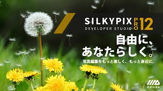 SILKYPIX Developer Studio Pro12 [upl. by Liss]