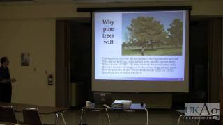 Pinewood Nematode  IPM in Kentucky  Nursery Crops [upl. by Winny]