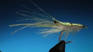 Fly Tying the Ribbon Salt Water Shrimp fly with Barry Ord Clarke [upl. by Ybor]