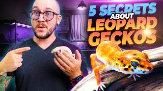 5 Things They NEVER TELL YOU About Getting A Leopard Gecko  MUST WATCH THIS FIRST [upl. by Nuahsyt850]