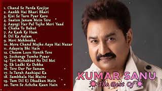 Hindi Melody Songs  Superhit Hindi Song  kumar sanu alka yagnik amp udit narayan  musicalmasti [upl. by Kinnon]