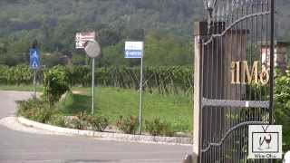 Traveling in Northern Italy Franciacorta Wine Tasting and Wine Tours [upl. by Kcirdorb]