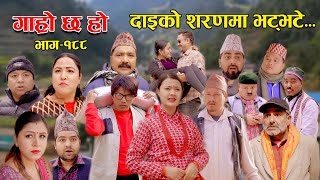 दाइको शरणमा भट्भटे II Garo Chha Ho II Episode 188 II Feb 05 2024 II Begam Nepali II Riyasha Dahal [upl. by Nosirrag]