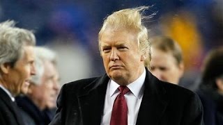 Donald Trump Presidential Hair Apparent [upl. by Peursem]