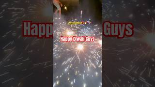 Diwalicelebration firecracker 2024 november skyshot pataka patakavibes shorts shortvideo [upl. by Adnek]