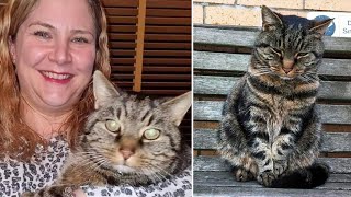 This Scottish Cat Was Missing For 11 Years Finally Reunites with His Owner [upl. by Tobe]