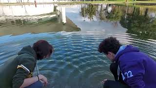 Water Waves  Interference Experiment [upl. by Huggins]