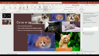 Robimy swoją prezentacje  PowerPoint Odc 1 [upl. by Melody]