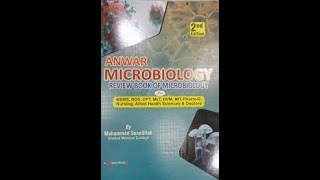 gram negative cocci microbiology [upl. by Corley]