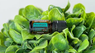 doTERRA Ravintsara 5ml  Translated Subtitles [upl. by Odlareg]