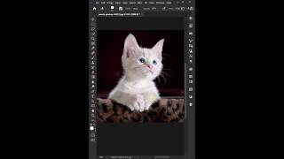 best way to remove complex background in photoshop  Short Tutorial [upl. by Waynant]