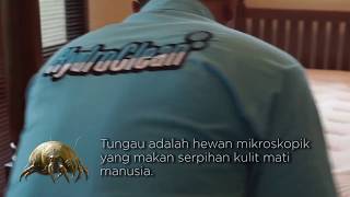 HydroClean Indonesia Jasa Sedot Debu dan Tungau [upl. by Neukam]