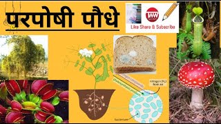 परपोषी पौधेHeterotrophic plantsपौधों में पोषण Nutrition In PlantsPart २ [upl. by Oraneg783]