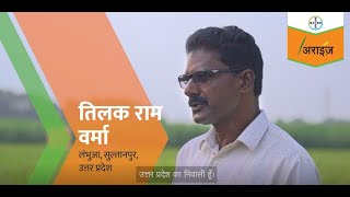 How Arize 6444 Gold Paddy Seeds Boosted Yields in Uttar Pradesh  Bayer Crop Science [upl. by Eraste]