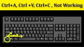 How To Fix CtrlA CtrlV CtrlC Not Working Problem  Keyboard Not Working Problem Windows 1087 [upl. by Avivah]