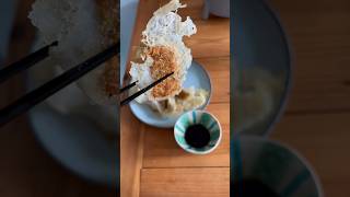 Die besten Gyoza Japanische Dumplings gyoza japanesefood dumplings [upl. by Yetty]