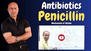 Penicillin  Antibiotics  Mechanism of Action  Pharmacology💊 [upl. by Janice]