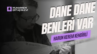 Harun Kerem KendirliDane Dane Benleri Var [upl. by Aicatsana]