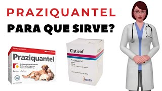 PRAZIQUANTEL que es y para que sirve praziquantel como usar praziquantel 600mg tablets [upl. by Ulda]