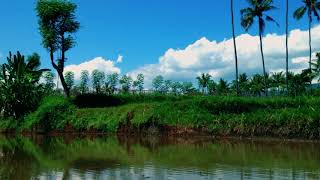 Terrace Farming and Water Irrigation System [upl. by Aitret]