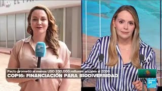 Informe desde Cali financiamiento para la biodiversidad sigue estancado en la COP16 • FRANCE 24 [upl. by Anuahsed442]