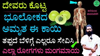 90 ರೋಗಗಳಿಗೂ ಒಂದೇ ಮನೆಮದ್ದು  Superfood Amla  Bettada Nellikai Benefits in Kannada  ನೆಲ್ಲೆಕಾಯಿ [upl. by Eleazar]