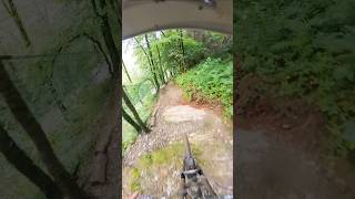 How GNARLY is lower race track mtb fyp fypシ゚viral shorts instagram [upl. by Ydneh341]