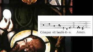 Tantum Ergo Sacramentum [upl. by Aural228]