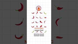 The Science of Pepper X Scoville Ratings [upl. by Odnalo]