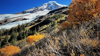 Heliotrope Ridge Trailhead  Mt Baker [upl. by Roderica]