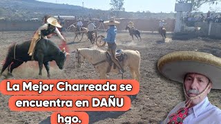 La MEJOR CHARREADA SE ENCUENTRA EN DAÑU HGO 🐎🐂 charreada 2024 [upl. by Pliam]