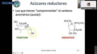 Sesión 30 Carbohidratos IV Ázucares Reductores [upl. by Areem]