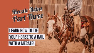 Tack Talk  Mecate Reins Part Three  How To Safely Tie Your Horse To a Rail Using Mecate Reins [upl. by Oibirot426]