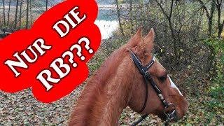 Nur eine RB  Reitbeteiligung auf Augenhöhe Ausreitvlog  Serenity Horses [upl. by Nirehtac547]