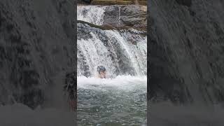 Waterfall  Naran song  Mandatory 😄📸 VazhvantholWaterfalls [upl. by Jerald]