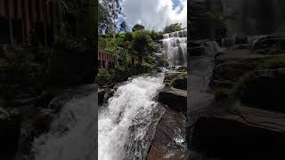 Dunsinane waterfalls  Pundaluoya Sri lanka nature asiancountry travel [upl. by Asenad]