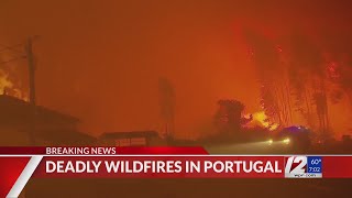 Portugal declares a state of calamity as wildfires rage out of control [upl. by Ahsekam]