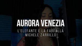 Michele Zarrillo  Lelefante e la farfalla Cover Aurora Venezia [upl. by Eiba]