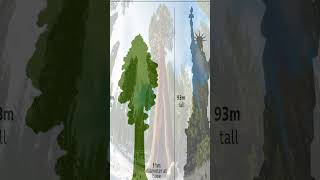 ASTV Sensational Find  Giant Trees from Thailands Past [upl. by Renferd]