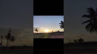 Nature beauty in morning vibesBellaga tellarindo elabeauty of nature shortvideo [upl. by Welles]