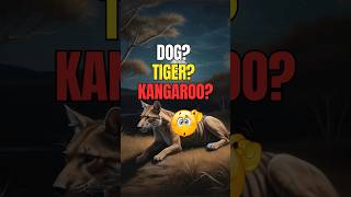 What exactly was the Tasmanian Tiger animals animation shorts 77 [upl. by Demmahum]